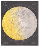 CELEST1142