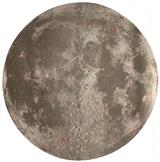 CELEST1248