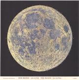CELEST1263