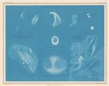 CELEST1287